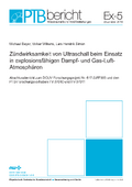 Zündwirksamkeit von Ultraschall beim Einsatz in explosionsfähigen Dampf- und Gas-Luft Atmosphären