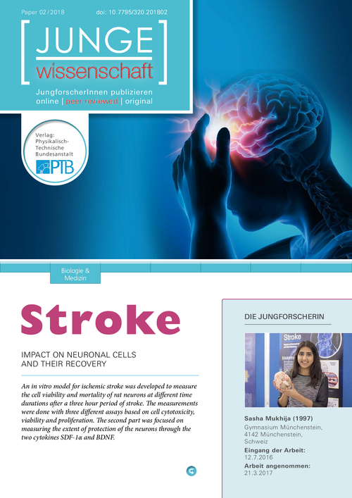 Stroke, Impact on Neuronal Cells and their Recovery