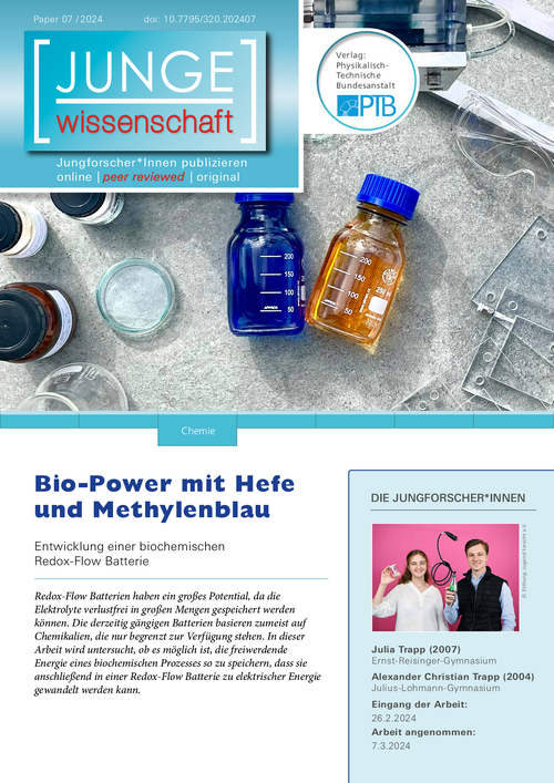 Bio-Power mit Hefe und Methylenblau, Entwicklung einer biochemischen Redox-Flow Batterie